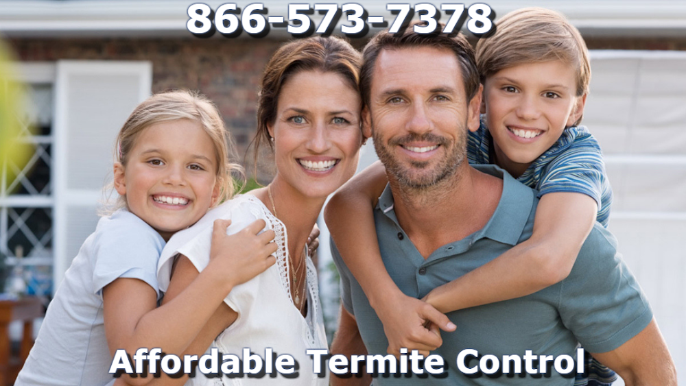 Affordable Termite Control In Huntington Beach