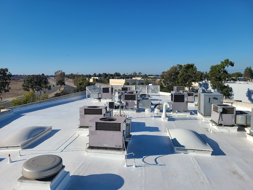 Blue Shoe Roofing