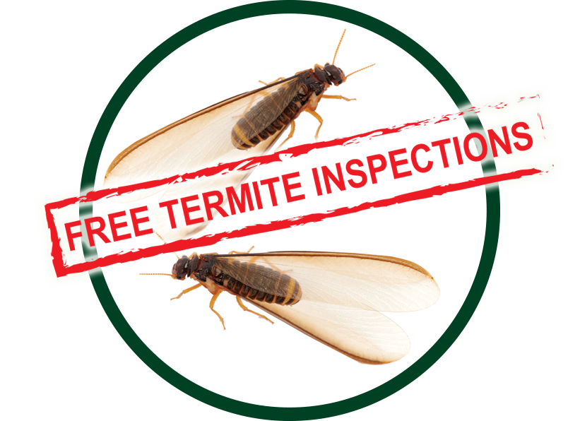 Kilter Termite and Pest Control