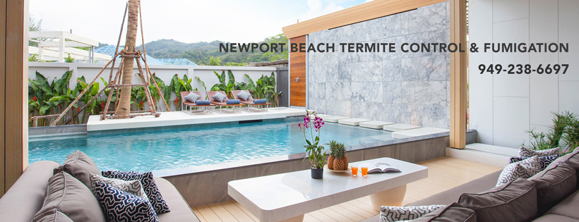 Newport Beach Termite Control & Fumigation